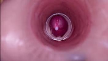 Internal Camera Recordings of Female Insemination Male Deep Ejaculation